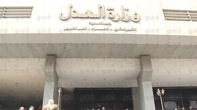 العدل: تنفيذ قرارات ضم أطفال لحضانة أمهات أجنبيات متزوجات من مصريين