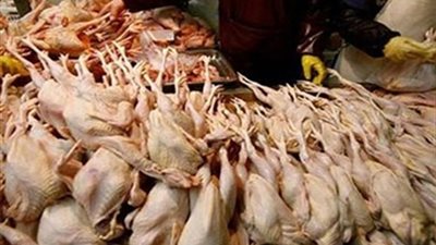 ضبط 44 كيلو بانيه وشيش طاووق فاسدين بباب الشعرية