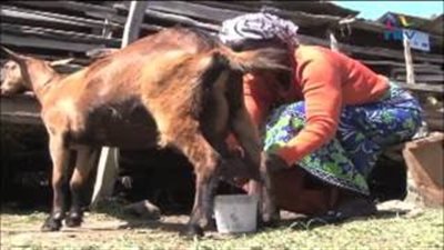 بالفيديو.. خروج بريطانيا من الاتحاد الأوروبي يسبب كارثة في كينيا