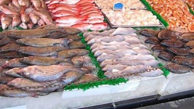 أسعار الأسماك واللحوم بالأسواق.. اليوم