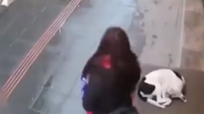 رد فعل فتاة عثرت على كلب نائم في طقس شديد البرودة (فيديو)