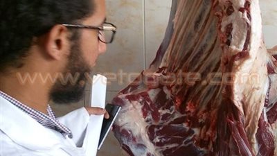 بالصور.. إعدام 496 كيلو أغذية ومخبوزات غير صالحة بالدقهلية