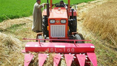 ماكينة «دريس» القمح «تفرم» مزارعا في الدقهلية