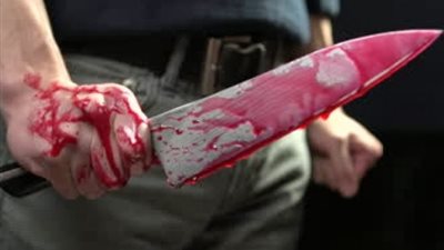 اعترافات المتهمين بقتل جزار بسبب لهو الأطفال في عين شمس