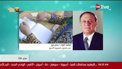 خبير عسكري: الأصوات الباطلة بالانتخابات مؤشر على المصداقية