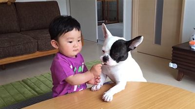 بالفيديو والصور.. رد فعل طفل سرق كلب وجبته