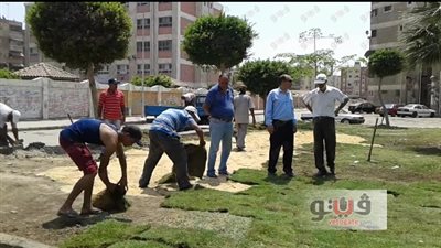 بالصور.. «مناخ بورسعيد» يقود حملة تجميل للمسطحات الخضراء