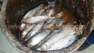 أسعار الأسماك المملحة في «عاصمة الفسيخ» بالدقهلية