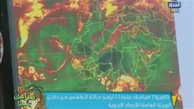 بالفيديو.. «الأرصاد» تحذر قائدي السيارات من الشبورة المائية