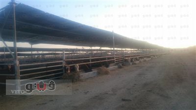 وزير الزراعة: طفرة كبيرة بمشروع التنمية الريفية غرب النوبارية