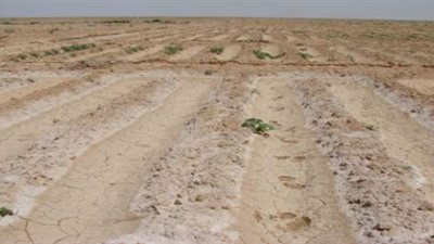 الإثنين.. «أملاك الدولة» بالقاهرة تعلن مزادا علنيا للأراضي