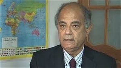 حسين هريدي: مصر تتعامل بذكاء مع بريطانيا في قضية مقتل «ميخائيل»