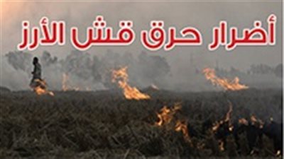 أضرار حرق قش الأرز