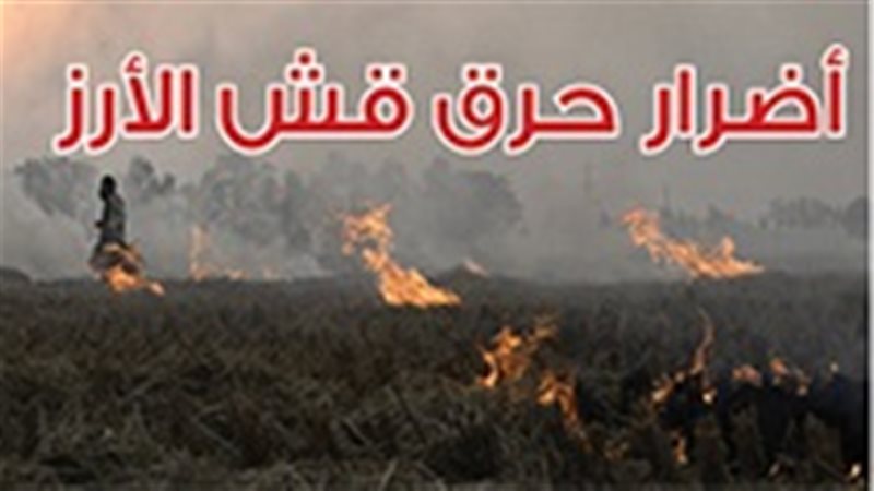 فيتو