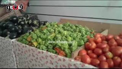 بالفيديو.. تباين أسعار الخضروات.. والفاصوليا الخضراء بـ35 جنيها