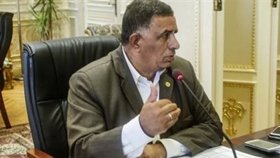 «قوى عاملة النواب» تسعى لتشكيل لجنة تقصي حقائق حول مشكلات القطاع العام