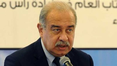 «الوزراء» يخصص غرفة عمليات وخطا ساخنا لمساعدة المصريين في قطر