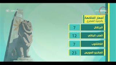 أسعار الخضراوات والفاكهة والعملات الأجنبية في السوق (فيديو)