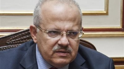 الخشت: اليابانيون استفادوا من التجربة المصرية في عهد محمد علي