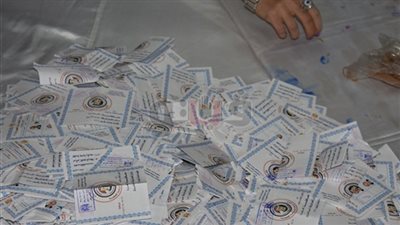 بالأرقام.. نتيجة الانتخابات الرئاسية كاملة في الدقهلية