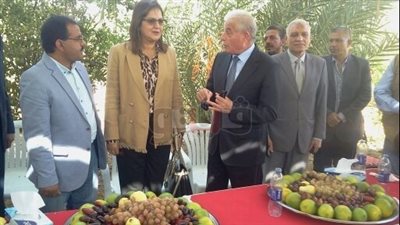 وزيرة التخطيط: 515 مليون جنيه لاستكمال المشروعات بجنوب سيناء