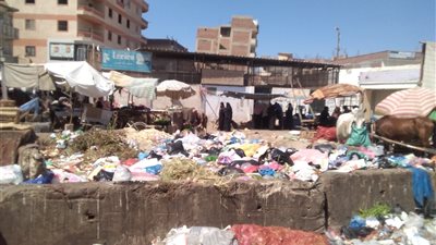 غضب أولياء أمور طلاب مدارس أبيس بالإسكندرية بسبب القمامة (فيديو)