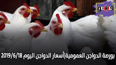 بورصة الدواجن العمومية | اسعار الدواجن اليوم 2019/6/18