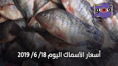 اسعار الأسماك اليوم 18/ 6/ 2019