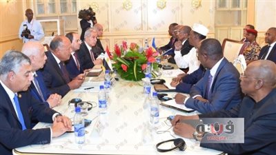 رئيس تشاد يقيم مأدبة غداء تكريما للسيسي