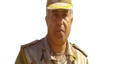 تكثيف الحملات الوقائية لمواجهة الفاشيولا في أسوان