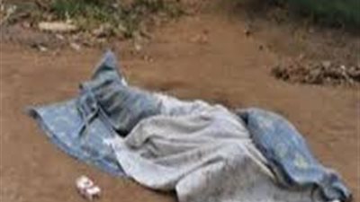 «البط».. كلمة السر في طعن مزارع شقيقه في طوخ