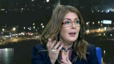 نائلة عمارة: الإخوان والغرب لفقوا قصصا كثيرة عن حادث هشام جنينة