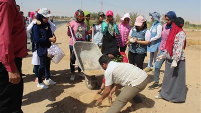 طلاب جامعة الوادي الجديد يشاركون في معسكر خدمة عامة لتطوير العشوائيات