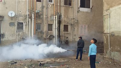 حملة للقضاء على الحشرات والقوارض بحي الزهور ببورسعيد (صور)