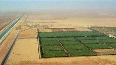 البنك الزراعى: نشارك في مشروع 1.5 مليون فدان بالتعاون مع الأهلي ومصر