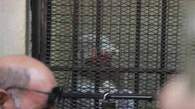 بدء أولى جلسات محاكمة سعاد الخولي بتهمة تقاضي رشوة