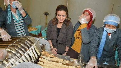 الاستثمار والتعاون الدولي توافق على إقامة منطقة حرة بسوهاج