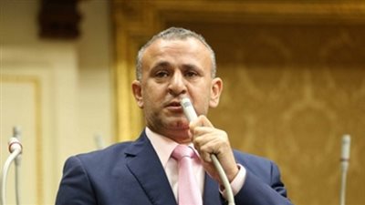 برلماني: الدولة تولي اهتماما كبيرا بملف التعليم