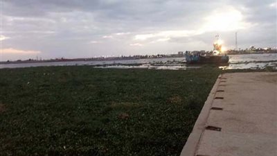 تعطل معديات الرسوة بسبب النباتات المائية في بورسعيد (صور)