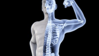 6 نصائح للحصول على عظام صحية