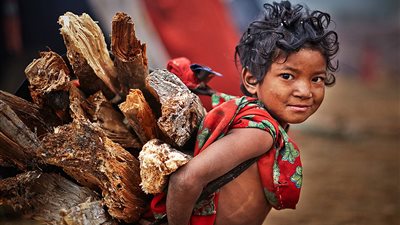 بالصور.. رحالة نيبال ينصبون الفخاخ للإيقاع بالقرود