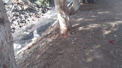 محافظ المنيا يوجه بتطهير ترعة جنابية طوخ الشرقية