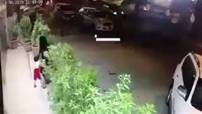 رد فعل أم لحظة هجوم كلب ضال على طفلتها (فيديو)