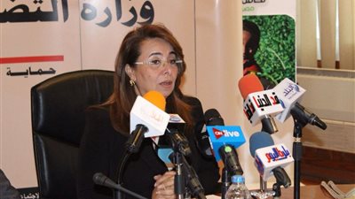 غادة والي: ميزانية بنك ناصر 15.8 مليار جنيه