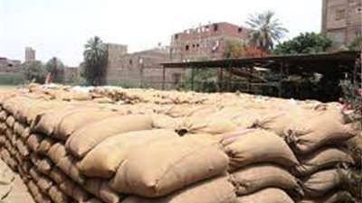 اقتصار توريد القمح على 3 صوامع ببني سويف