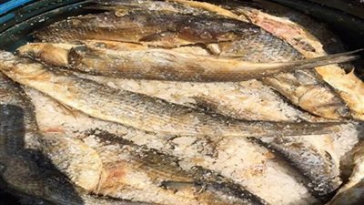 «الصحة» تعدم 15 طن رنجة وفسيخ فاسد قبل الاحتفال بشم النسيم