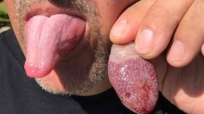 شاهد.. كائن بحري يشبه اللسان البشري يثير ضجة عبر «فيس بوك»