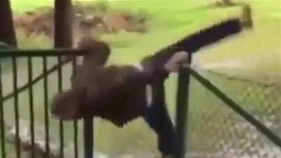 شاهد ماذا حدث لرجل حاصرت المياه حديقة منزله (فيديو)