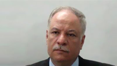 محافظ الشرقية يُطالب الشئون الصحية بتحليل الأسماك والمياه