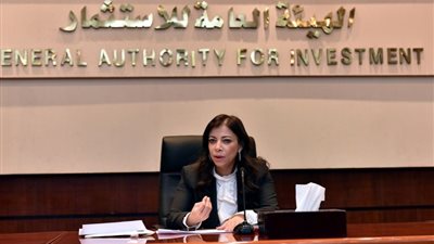 «الجندي»: إنشاء «الأعلى للاستثمار» يعكس اهتمام الدولة بجذب الاستثمارات